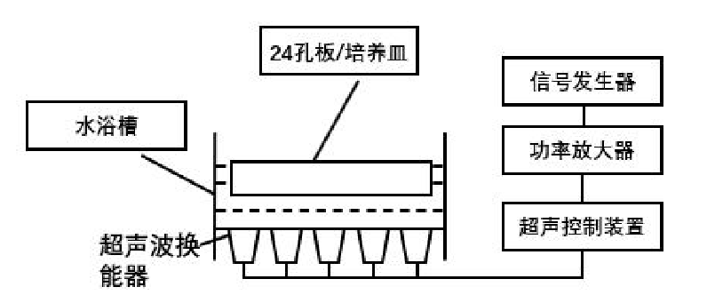 超聲波刺激裝置結構示意圖.png