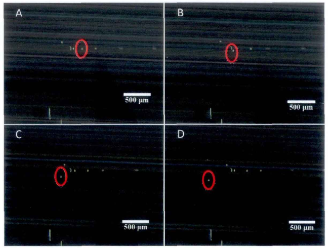 電壓幅值800V、頻率1000Hz時直徑63m的液滴的運(yùn)動過程。