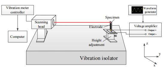 高壓放大器在骨的逆力電研究中的應用